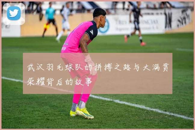 武汉羽毛球队的拼搏之路与大满贯荣耀背后的故事