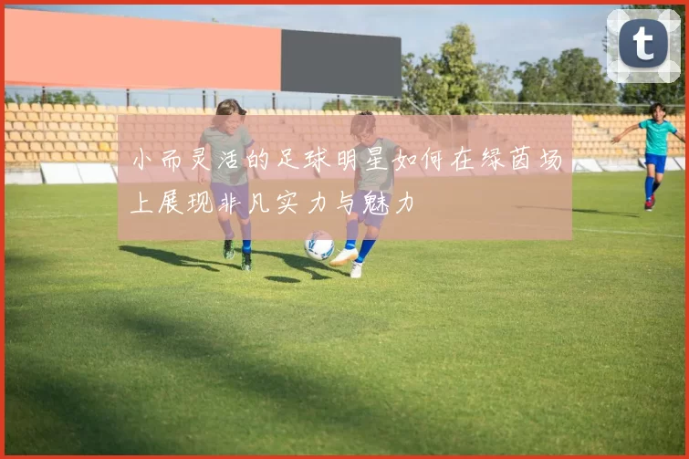 小而灵活的足球明星如何在绿茵场上展现非凡实力与魅力