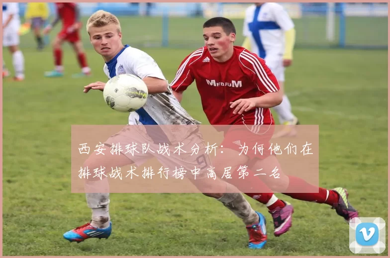西安排球队战术分析：为何他们在排球战术排行榜中高居第二名
