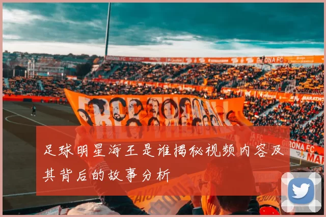 足球明星海王是谁揭秘视频内容及其背后的故事分析