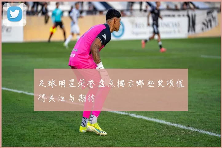 足球明星荣誉盘点揭示哪些奖项值得关注与期待