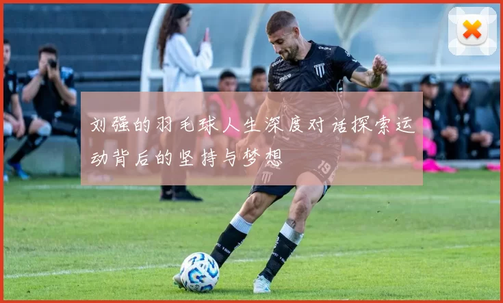 刘强的羽毛球人生深度对话探索运动背后的坚持与梦想