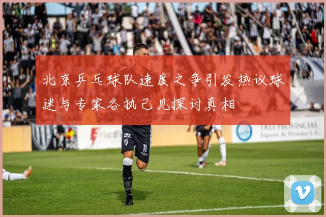 北京乒乓球队速度之争引发热议球迷与专家各执己见探讨真相