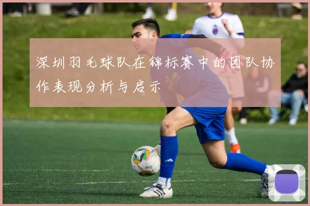 深圳羽毛球队在锦标赛中的团队协作表现分析与启示