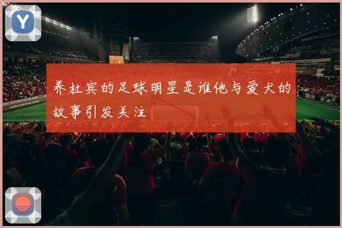 养杜宾的足球明星是谁他与爱犬的故事引发关注