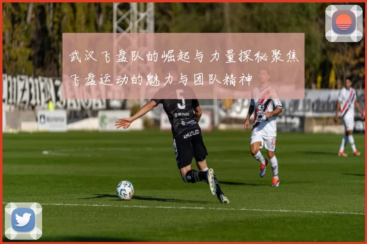 武汉飞盘队的崛起与力量探秘聚焦飞盘运动的魅力与团队精神