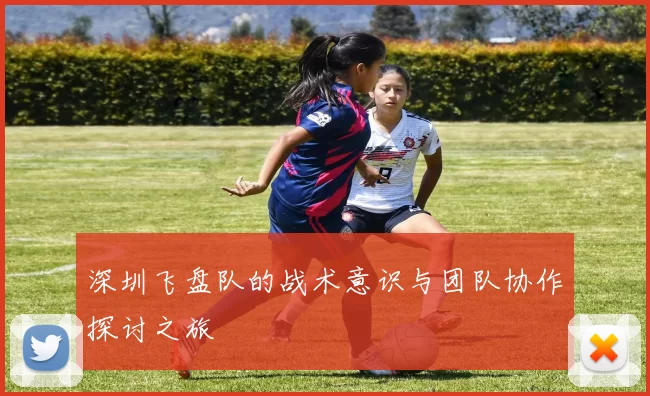 深圳飞盘队的战术意识与团队协作探讨之旅