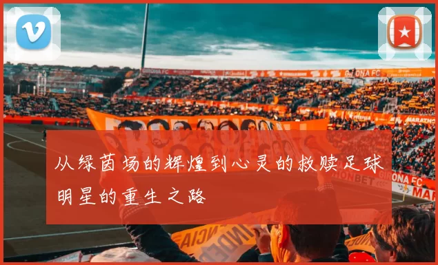 从绿茵场的辉煌到心灵的救赎足球明星的重生之路