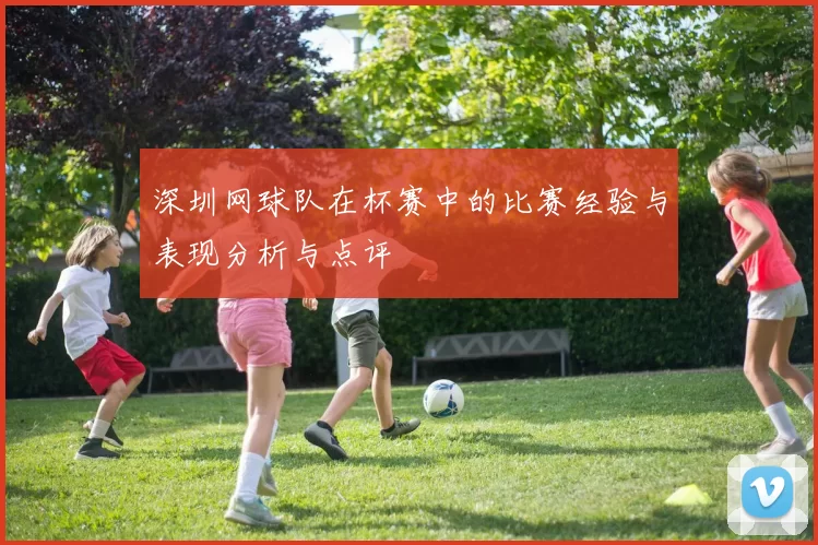 深圳网球队在杯赛中的比赛经验与表现分析与点评