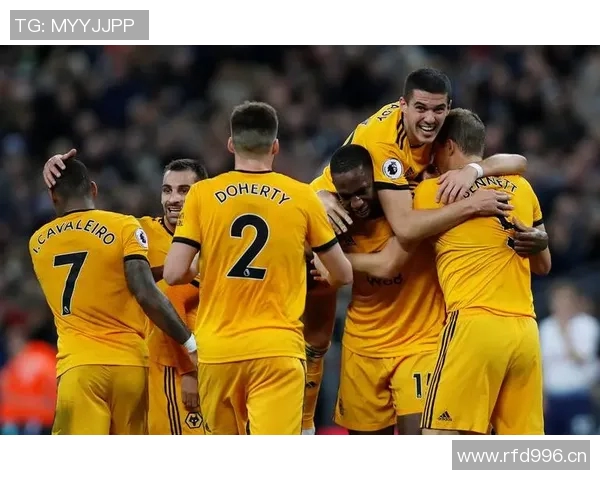 英超狼队足球队历年战绩及发展轨迹分析 英超狼队足球队历年战绩及发展轨迹分析