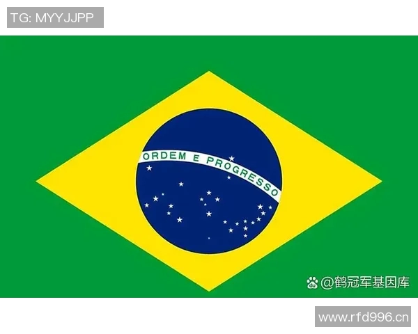 世界杯各队历史战绩与球员表现分析,谁将问鼎冠军宝座 世界杯各队历史战绩与球员表现分析,谁将问鼎冠军宝座